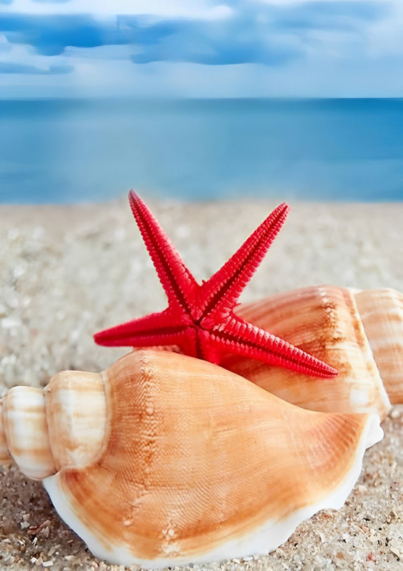 Étoile De Mer Rouge et Conque Broderie Diamant