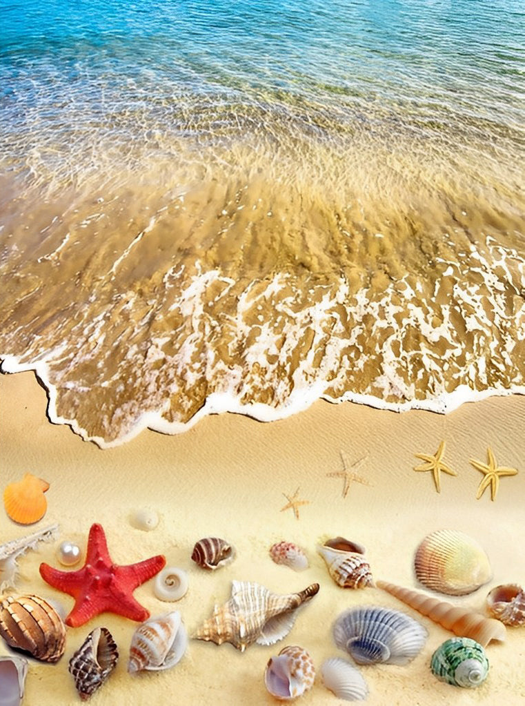 Étoiles De Mer et Coquilles sur la Plage Broderie Diamant