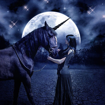 Femme et Licorne Noires Broderie Diamant