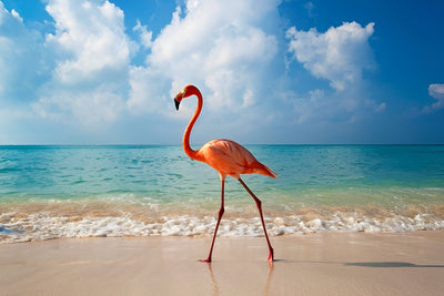Flamant Promenant Broderie Diamant