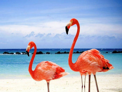 Flamants au Bord de la Mer Broderie Diamant