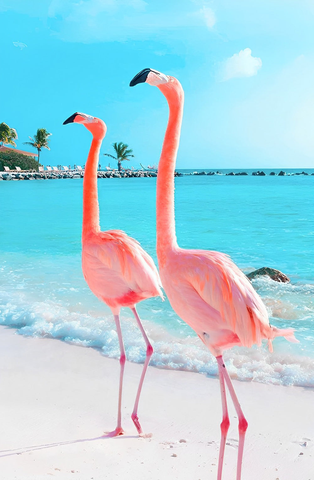 Flamants avec un Col Droit Broderie Diamant