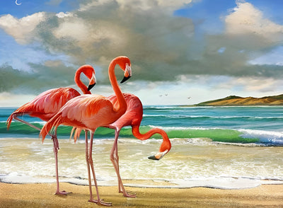 Flamants sur la Plage et les Nuages Broderie Diamant
