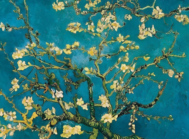 Fleurs d&