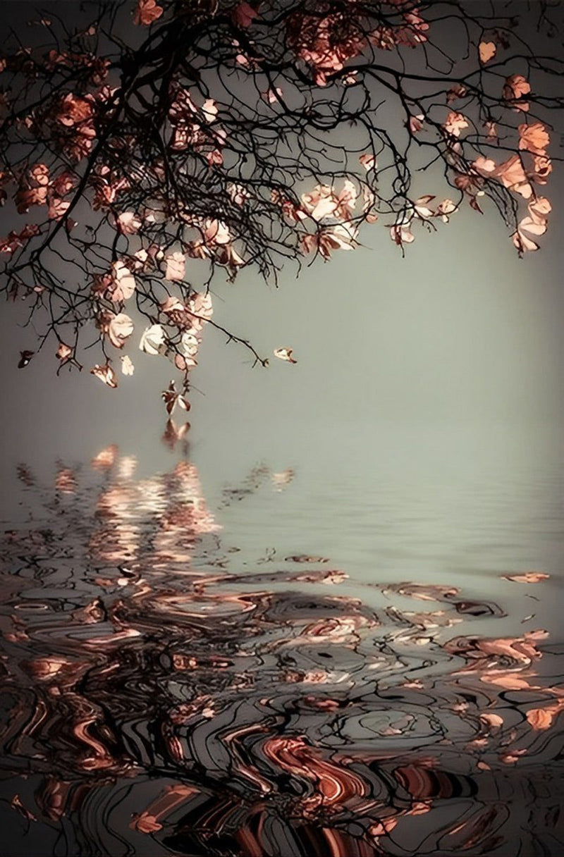 Fleurs et Leurs Reflets dans l&