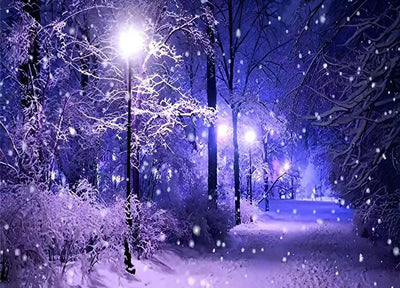 Forêt dans la Neige Broderie Diamant