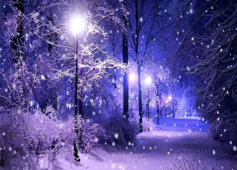 Forêt dans la Neige Broderie Diamant