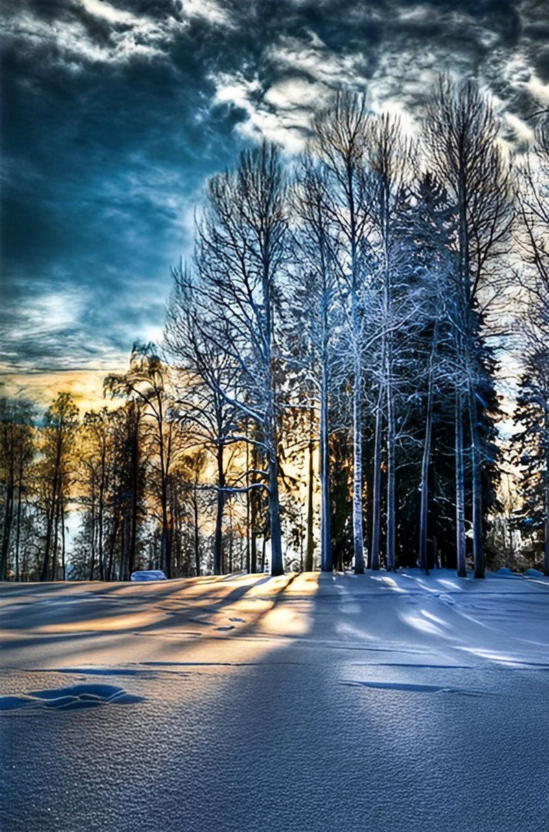 Forêt d&