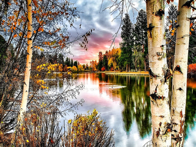 Forêt et Lac Broderie Diamant