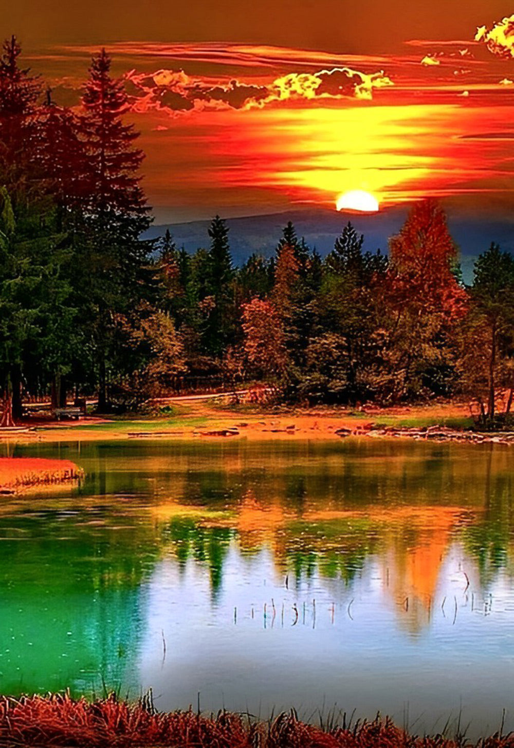 Forêt et le Soleil Couchant Broderie Diamant