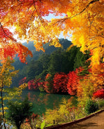 Forêt Jaune, Rouge et Vert Broderie Diamant