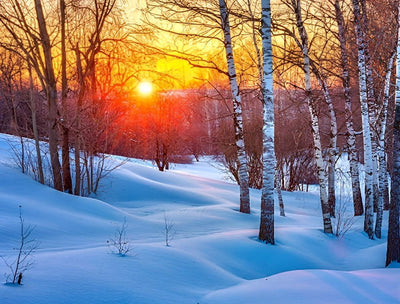 Forêt Paysage dans la Neige Broderie Diamant