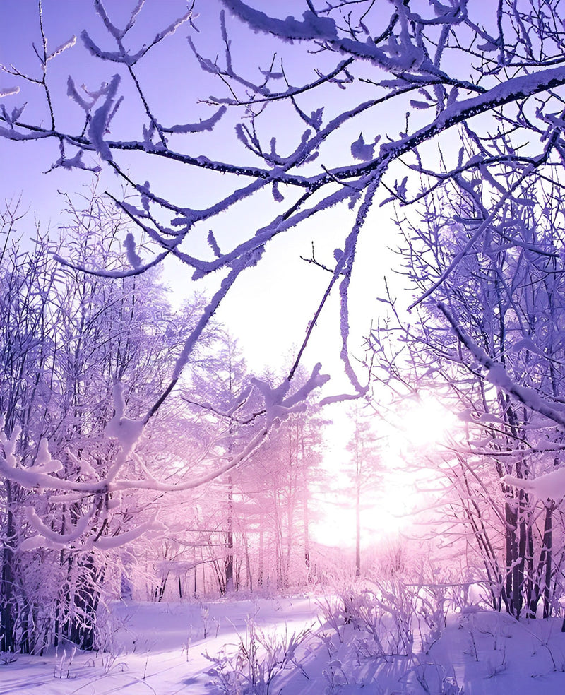 Forêt Rcouverte de Neige Tôt le Matin Broderie Diamant