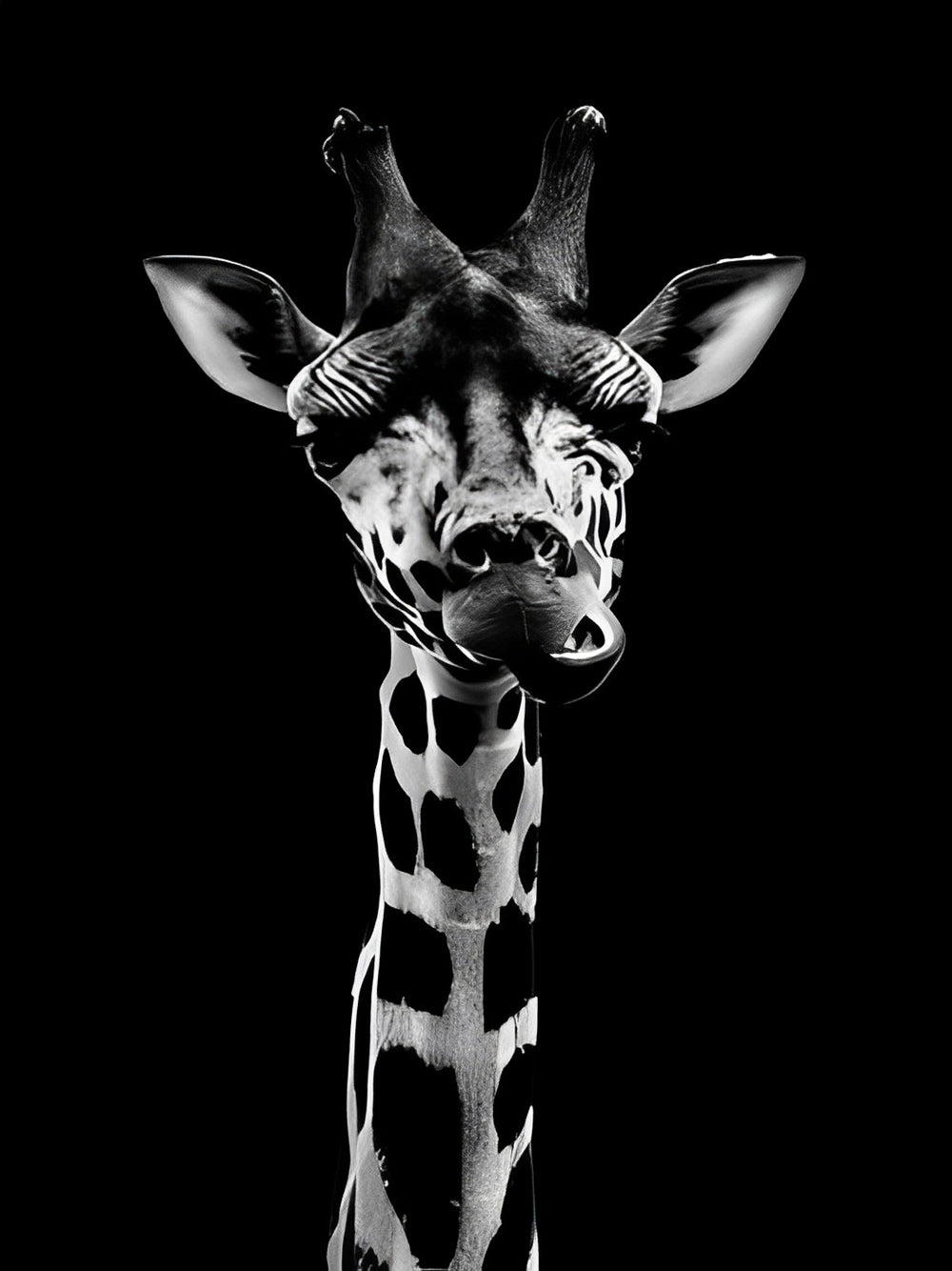 Girafe Haute Broderie Diamant