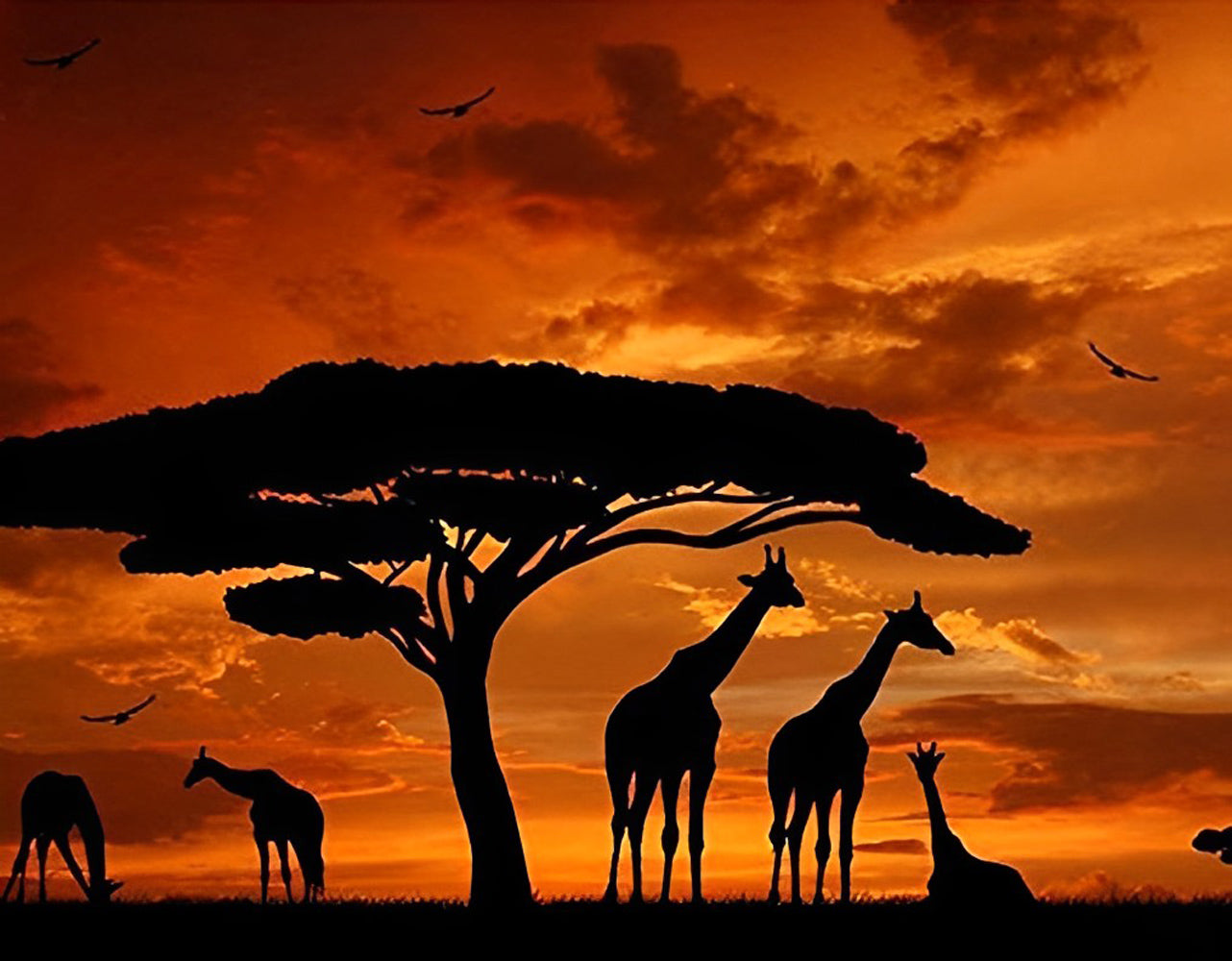 Girafes et Baobaos avecles Nuages Rouges Broderie Diamant