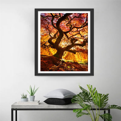 Grand Arbre avec des Feuilles Oranges Broderie Diamant