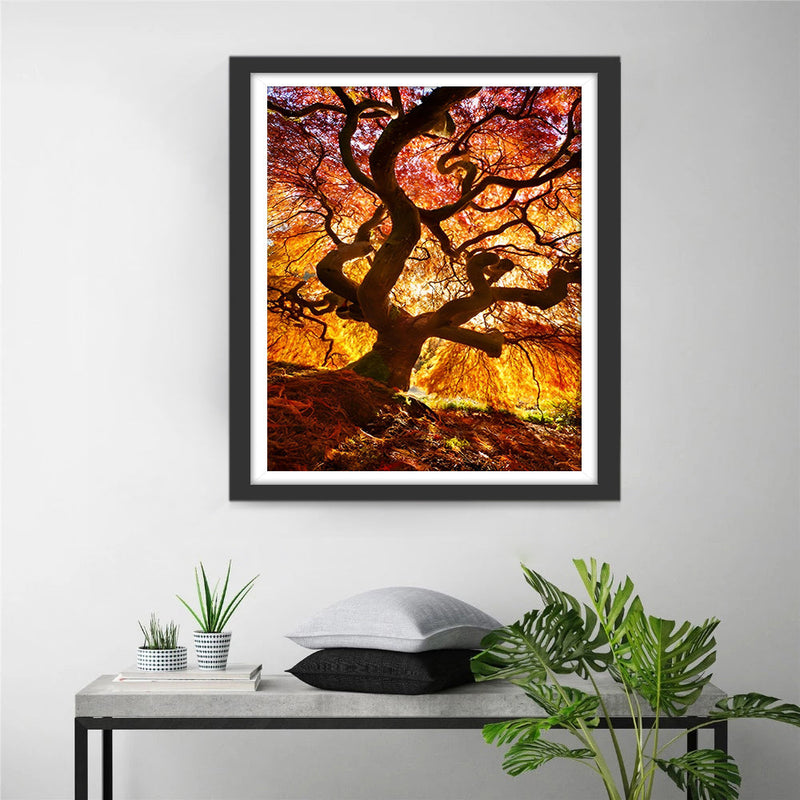 Grand Arbre avec des Feuilles Oranges Broderie Diamant