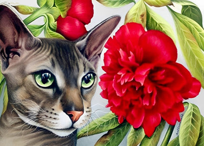 Grand Chat Gris et Pivoines Rouges Broderie Diamant