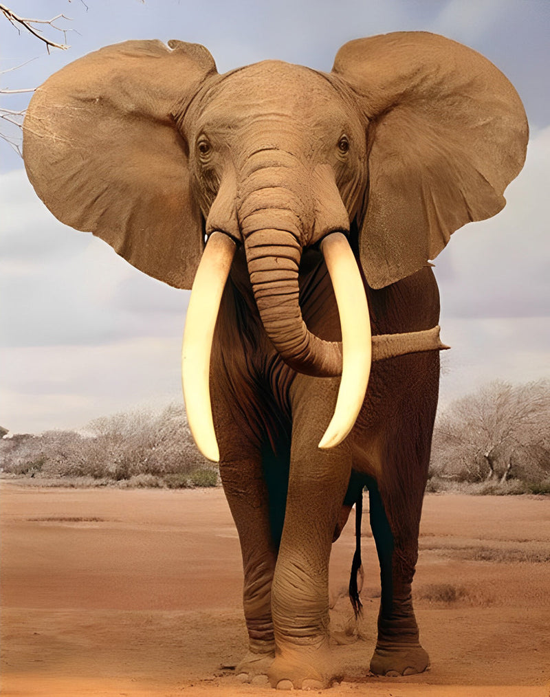 Grand Éléphant avec des Ivoires Broderie Diamant