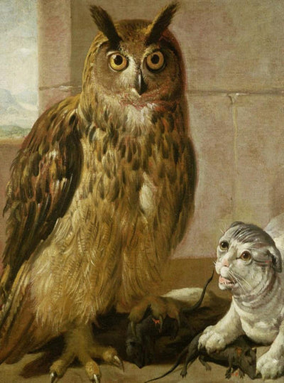 Grand Hibou et Chat Broderie Diamant