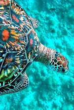Grande Tortue dans la Mer Broderie Diamant