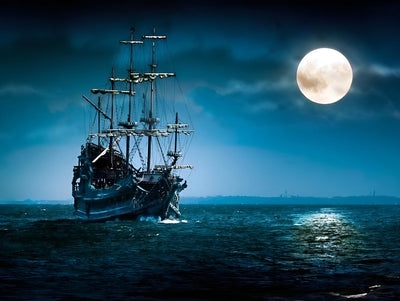 Grande Voile de Nuit en Mer Broderie Diamant