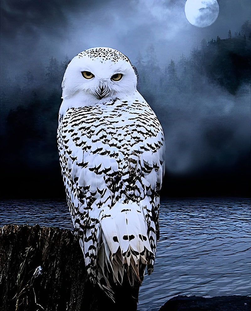 Harfang des Neiges et la Lune Claire Broderie Diamant
