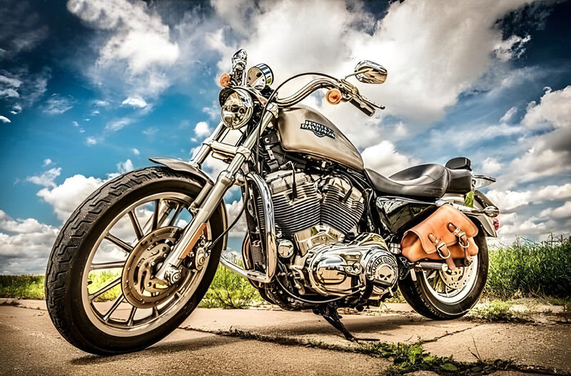 Harley-Davidson Broderie Diamant