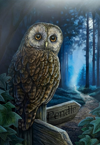 Hibou au Bois Broderie Diamant