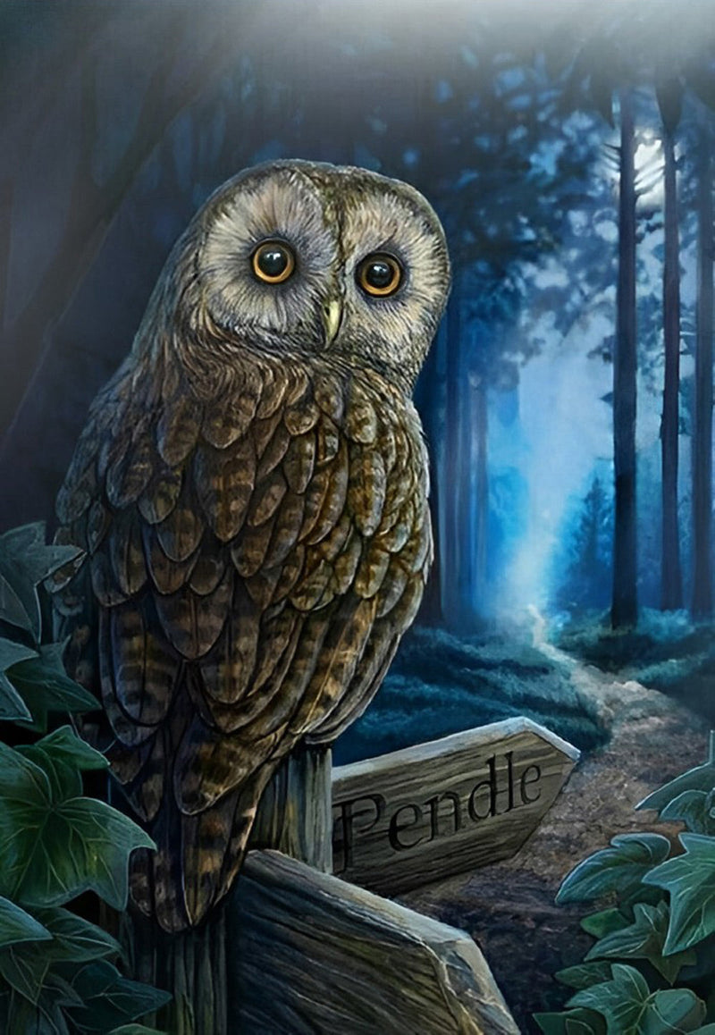 Hibou au Bois Broderie Diamant