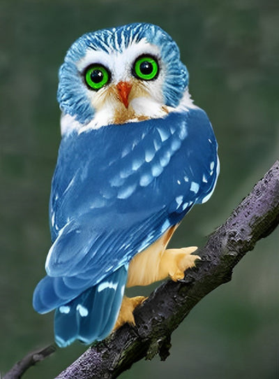 Hibou Bleu aux Yeux Verts Broderie Diamant