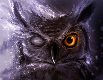 Hibou Borgne Broderie Diamant