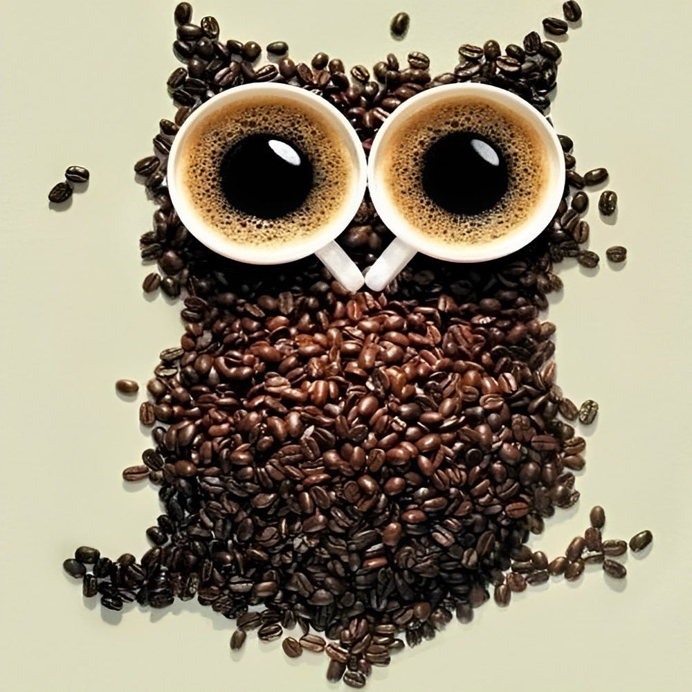Hibou de Grains de Café Broderie Diamant