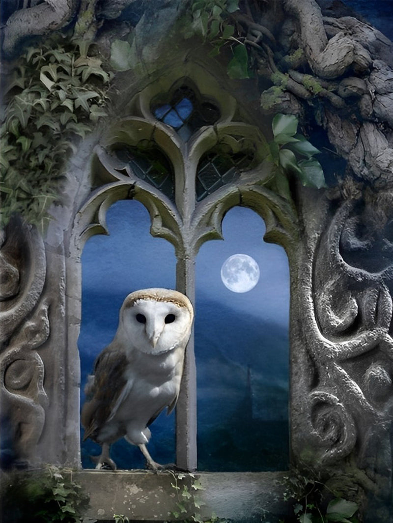 Hibou Debout sur le Bord de la Fenêtre Broderie Diamant