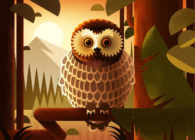 Hibou Dessiné Broderie Diamant