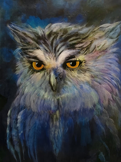 Hibou Duveteux Broderie Diamant