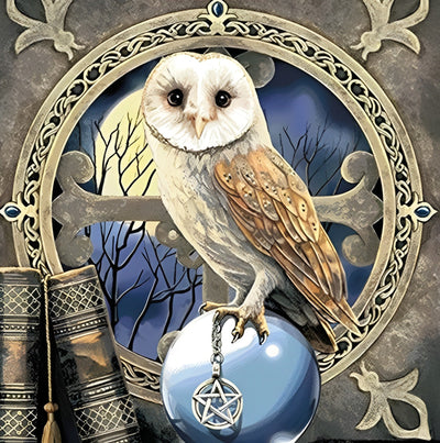 Hibou et Boule de Cristal Broderie Diamant
