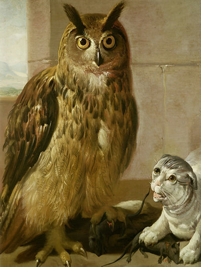 Hibou et Chat Jouant Broderie Diamant