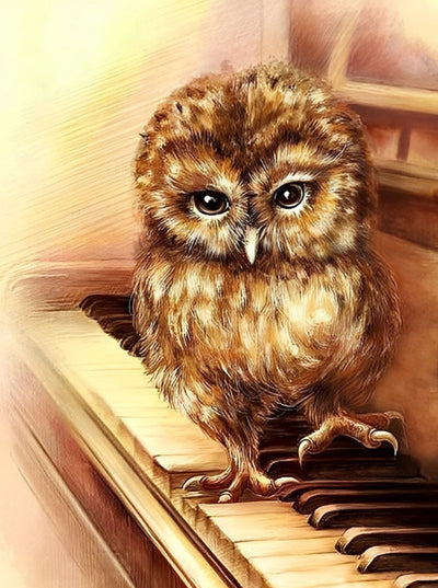 Hibou Jouant du Piano Broderie Diamant