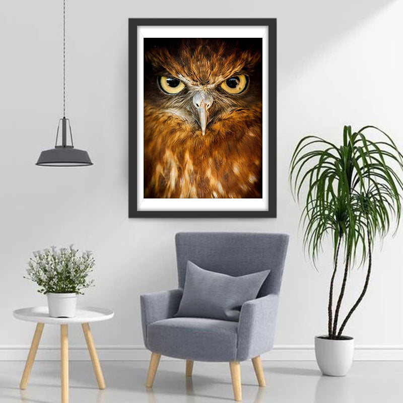 Hibou Orange Sérieux Broderie Diamant