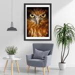 Hibou Orange Sérieux Broderie Diamant