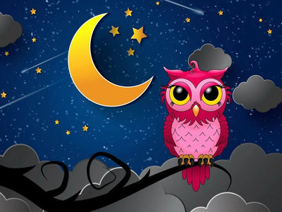 Hibou Rose et la Lune dans la Nuit Etoilée Broderie Diamant