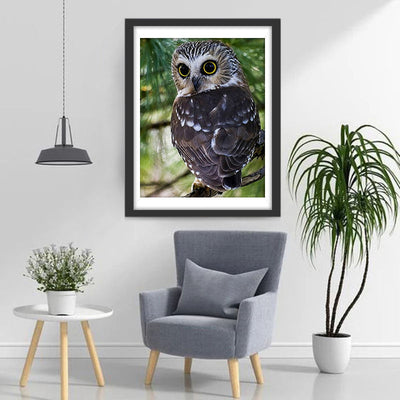 Hibou Tournant la Tête Broderie Diamant