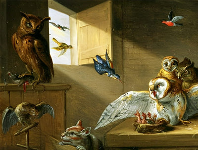 Hiboux, Oiseaux et Chat Broderie Diamant