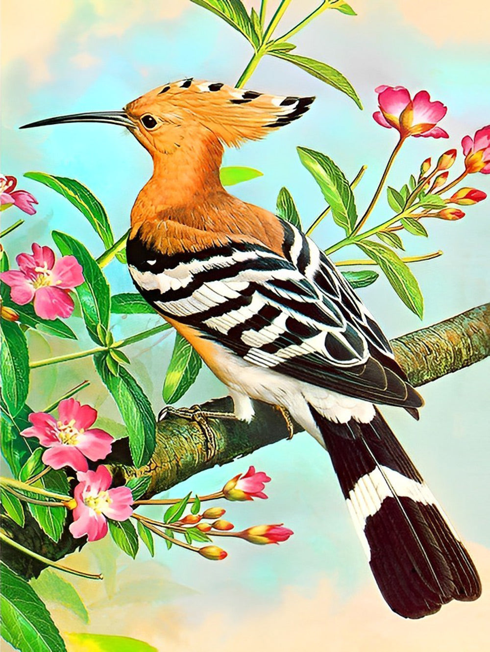 Huppe Fasciée et Fleurs Roses Broderie Diamant