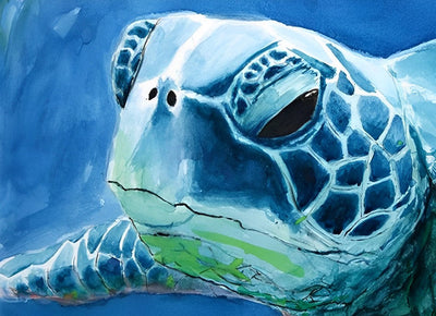 La Tête de Tortue Broderie Diamant