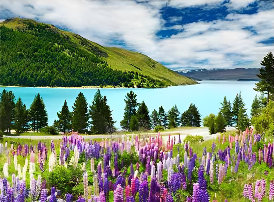 Lavandes et Rivière Broderie Diamant