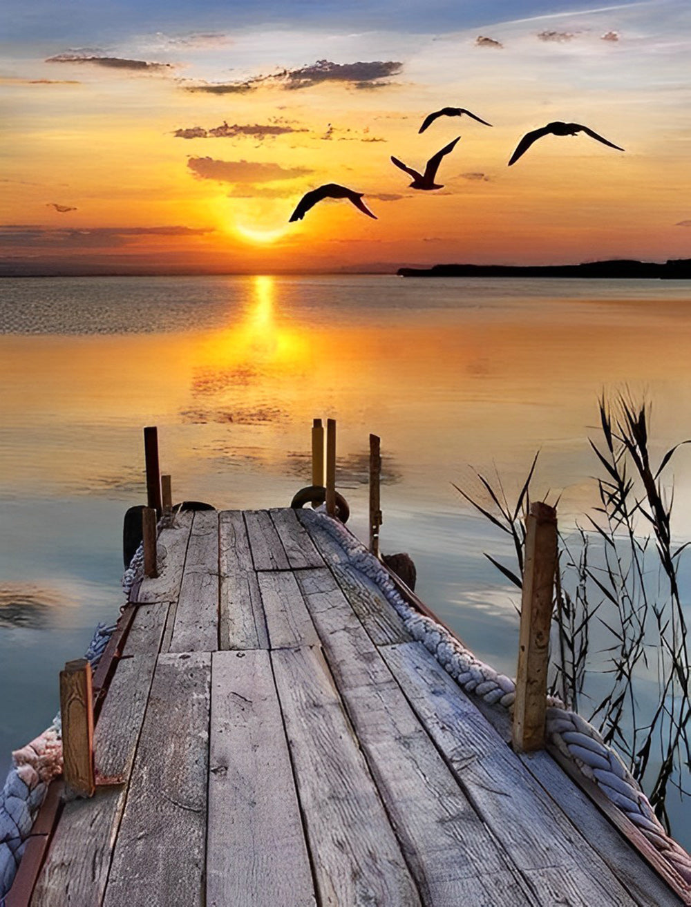 Le Quai et les Mouettes Broderie Diamant