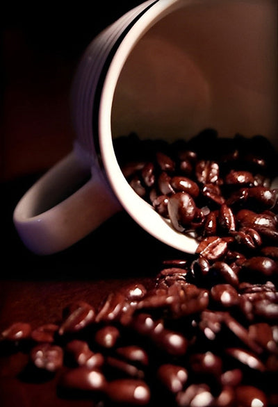 Les Grains de Café Broderie Diamant