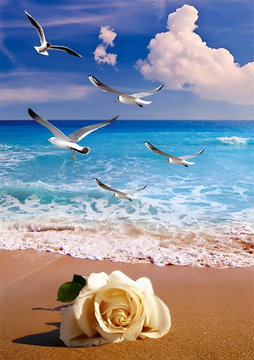 Les Mouettes et la Rose Blanche sur la Plage Broderie Diamant